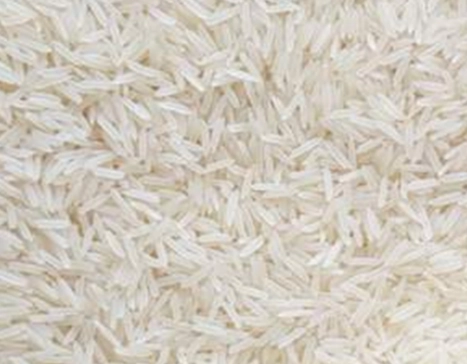 Basmati Rice Exporter