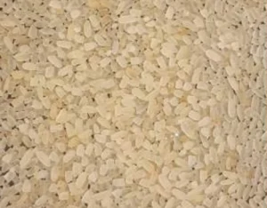 Broken Rice Supplier