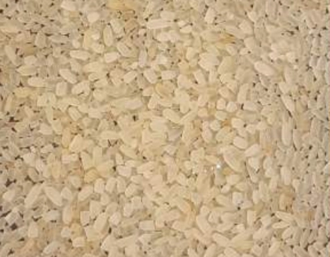 Broken Rice Supplier