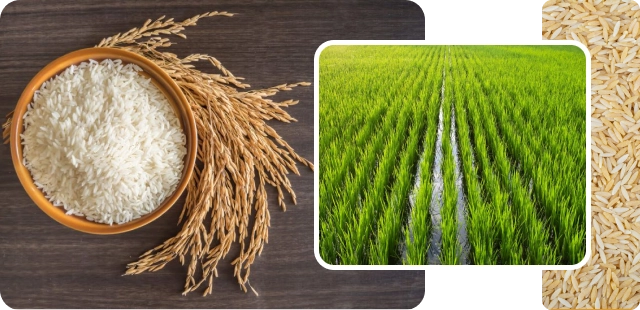 Direct-From-Mill Sourcing