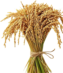 Prompt container delivery to major global ports.​