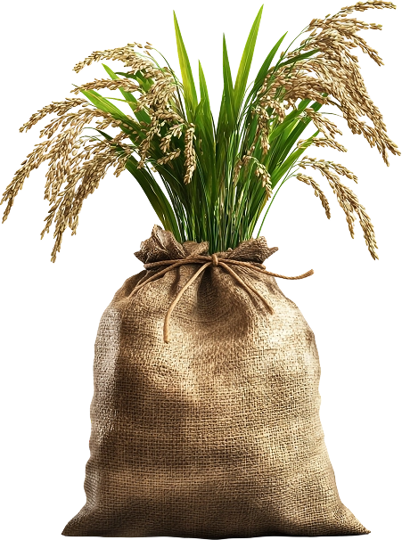 Your Reliable Global Rice Supplier